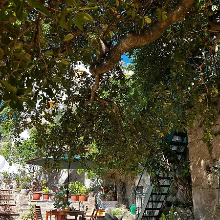 The Secret Garden-3